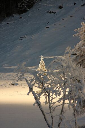 Bodensee 26578 2014-01-01.jpg