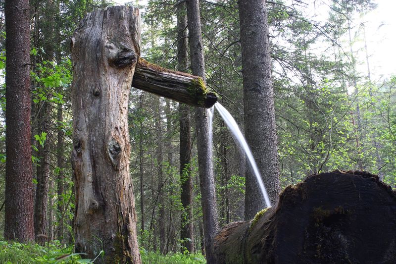 Datei:Gradenbachtal 58563 2014-05-22.jpg