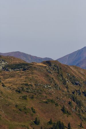 Hahnalpl rücken-0039-2021-09-15.jpg