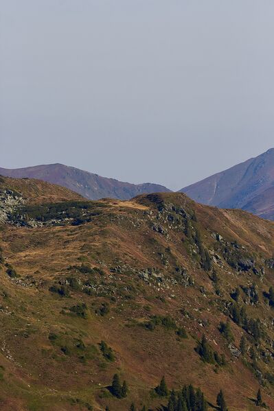 Datei:Hahnalpl rücken-0039-2021-09-15.jpg