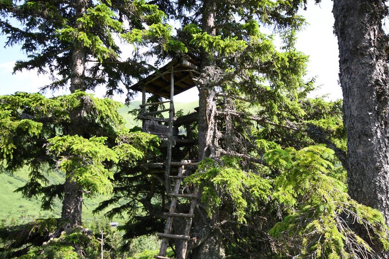 Datei:Mößnakar 0870 13-07-12.jpg