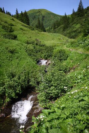 Mößnakarbach 0909 13-07-12.jpg
