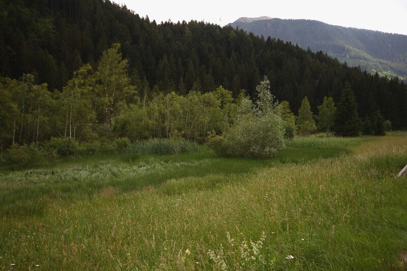 Datei:Oppenberger moos 78847 2018-06-11.jpg