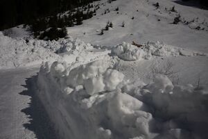 Steinriesental 58135 2012-03-22.jpg