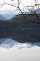 Altausseer See 78924 2014-11-15.jpg