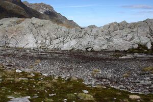 Goldlacken 0455 2013-10-08.jpg