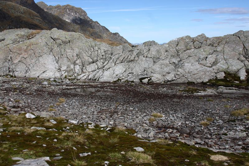 Datei:Goldlacken 0455 2013-10-08.jpg