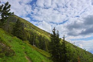 Mölbegg 84493 2014-06-18.jpg