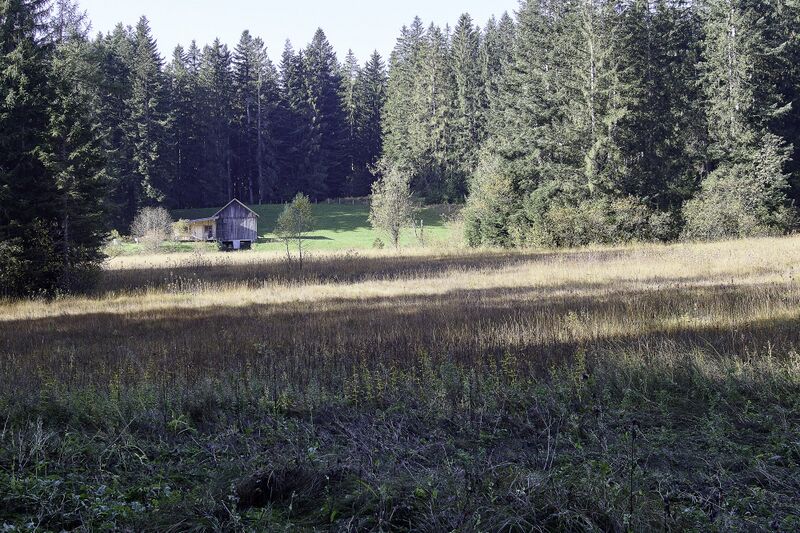 Datei:Naglmoos Reith-0702-2023-10-13.jpg