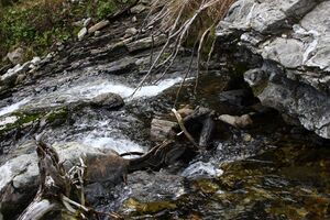 Säusenbach kleinsölk 73641 2014-10-03.jpg