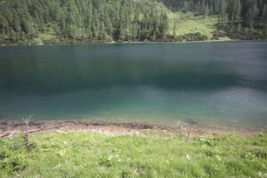 Steirersee südufer 51325 2017-06-24.jpg