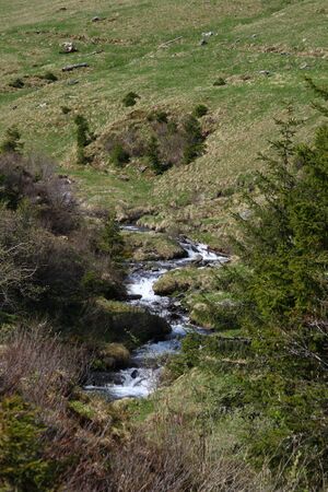 Strickerbach 55489 2014-05-02.jpg