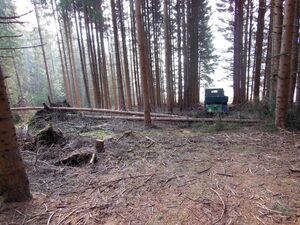 Unimog 02 2014-03-08.jpg