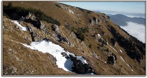 Wildfeld Gößeck011.JPG