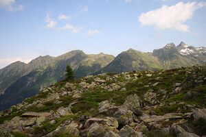 Wildkar 1933 2008-06-26.jpg