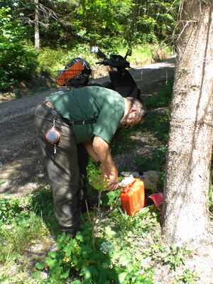 Windwurf7 tanken.jpg