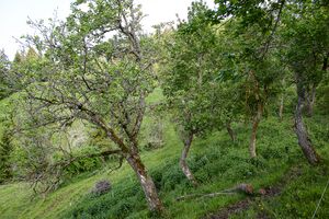 BH Poserer-0378-2023-05-27.jpg