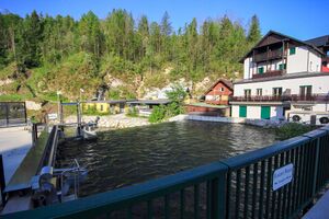 Bad aussee 45435 2017-05-17.jpg