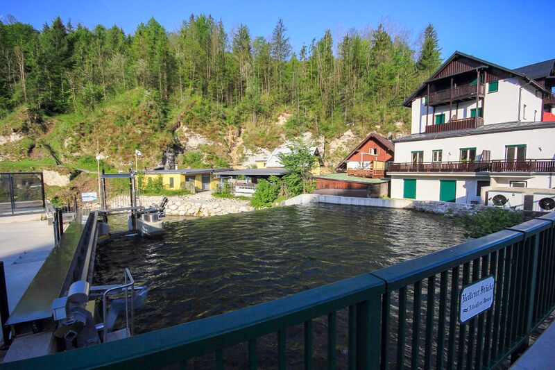 Datei:Bad aussee 45435 2017-05-17.jpg