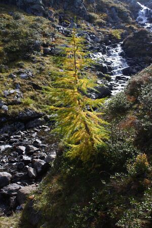 Duisitzkarbach 76422 2014-10-06.jpg