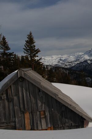Gössleralm-salzofen 2626 2008-02-04.jpg