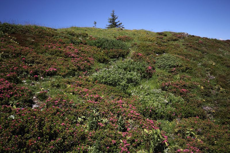 Datei:Gumpenkar 54479 2017-07-05.jpg