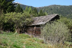 Heustadel fleiss großsölk 55594 2014-05-02.jpg