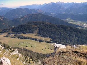 Hinteregger Alm 4464.JPG