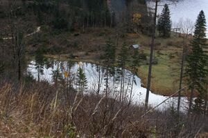 Ostersee Altaussee 79118 2014-11-15.jpg