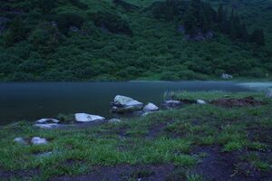 Plannersee 65222 2014-06-26.jpg