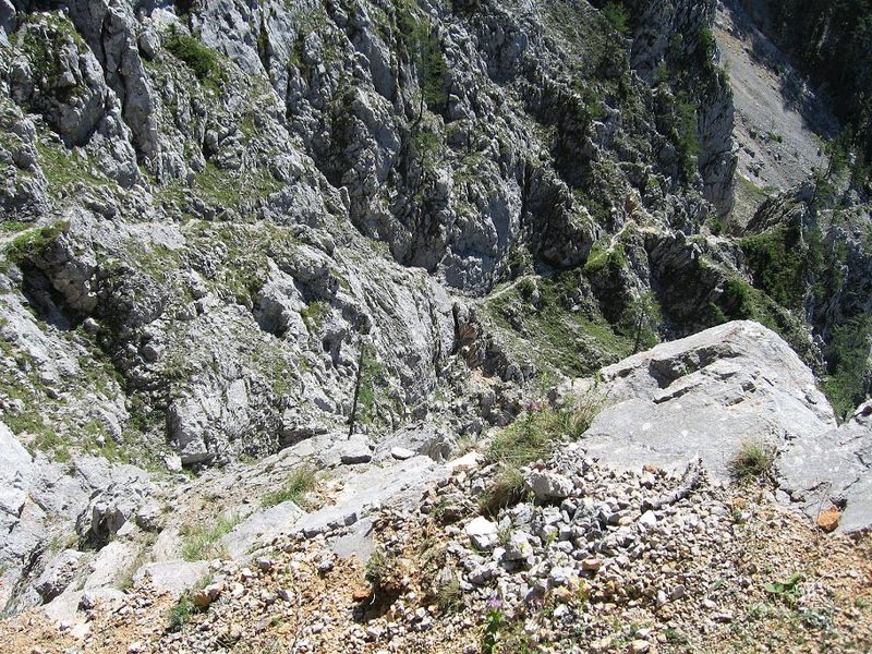 Datei:Riegerin 1339.jpg