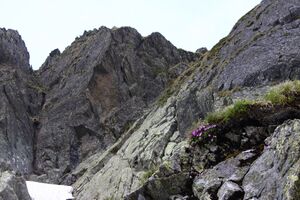 Sabinkar 89862 2015-06-08.jpg