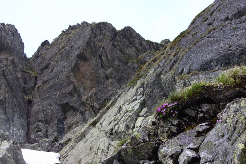 Datei:Sabinkar 89862 2015-06-08.jpg