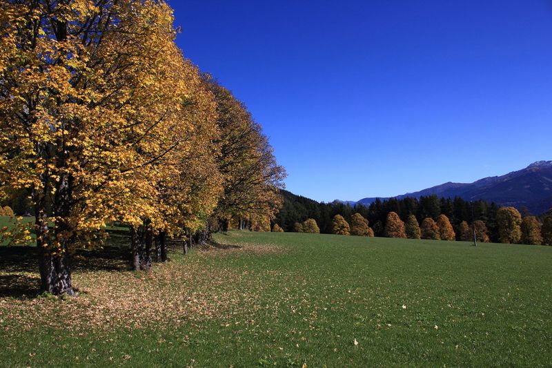 Datei:Schildlehen ramsau 60247 2017-10-05.jpg