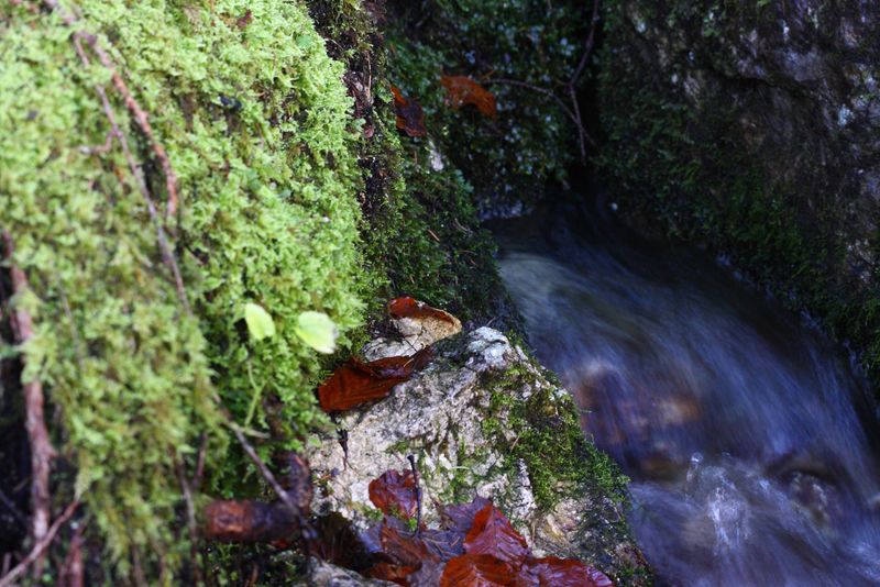Datei:Siebenbrunnen 78139 2014-11-03.jpg