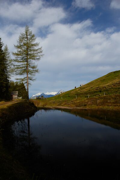 Datei:Stubeggsattel-0158-2021-05-24 07.38.23.jpg