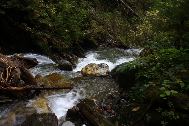 Datei:Teufelsschlucht Seewigtal 73378 2014-10-02.jpg