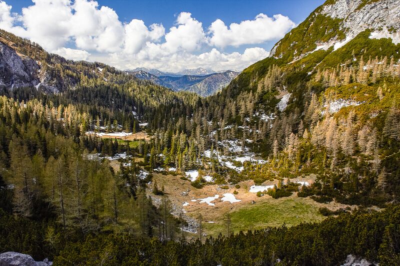 Datei:Tiefboden heßhütte-2000-2020-05-18.jpg