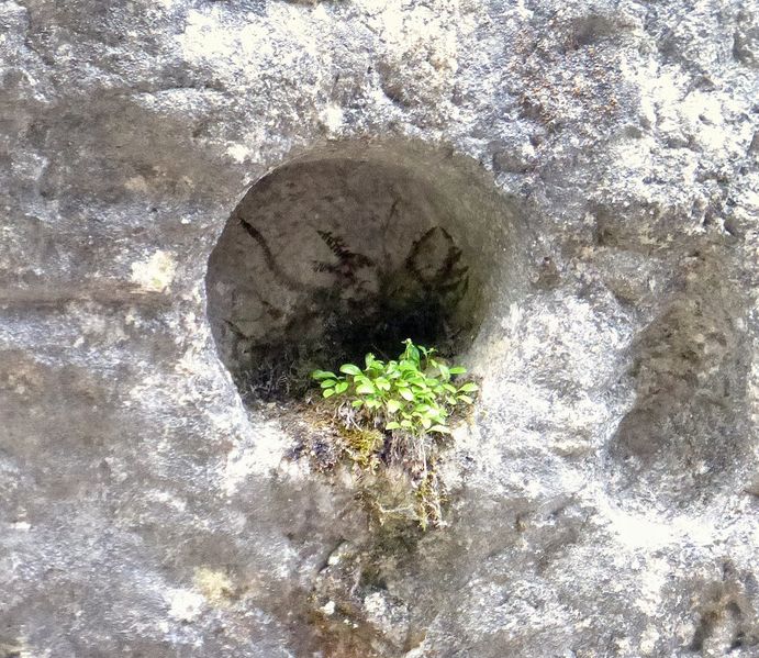 Datei:Wörschachklamm 58063 2014-05-15.JPG