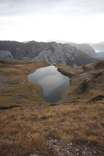 Datei:Augstsee loser 88739 2018-11-04.jpg