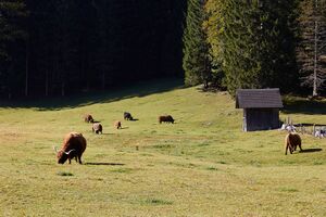 Blaa alm-0134-2021-10-11.jpg