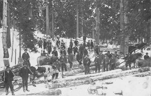 IMG 0001 NEW Holzarbeiten Grimming.jpg