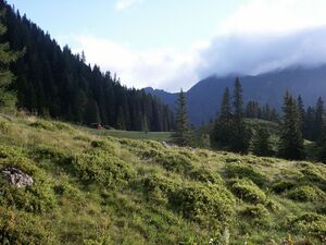 Im herzmeierkar 15460 2005-07-20.jpg