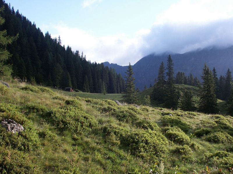 Datei:Im herzmeierkar 15460 2005-07-20.jpg