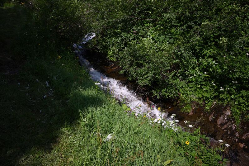 Datei:Mößnakarbach 0900 13-07-12.jpg