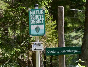 Niederscheibenberg-0225-2025-06-24.jpg