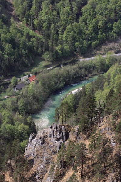 Datei:Salza palfau 70604 2018-04-23.jpg