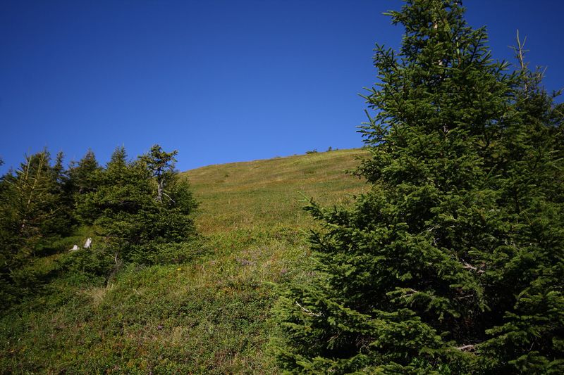 Datei:Scheiben großsölk 33164 2016-08-26.jpg