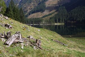 Schwarzensee kleinsölk 73551 2014-10-03.jpg