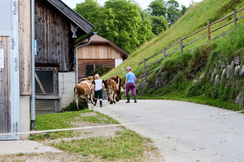 Datei:Vlg mitteregger sonnberg öblarn-0185-2023-08-25.jpg